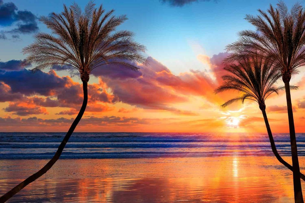 Tropical beach at sunset with palm trees silhouetted against a vibrant orange and indigo sky, waves on the shore.